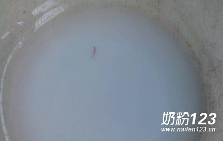 多美滋奶粉惊现活虫游泳 客服多次否认被疑推责 多美滋奶粉惊现活虫游泳 客服多次否认被疑推责