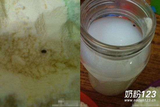 ������һ���̷۰l�F���b�� �ͷ��Q��؛�y�ȴ�