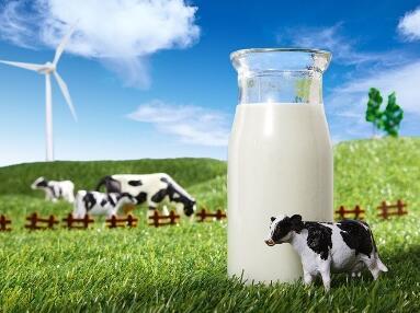 生鲜乳中国农垦乳业联盟团体标准发布 提升优质奶生产能力 生鲜乳中国农垦乳业联盟团体标准发布 提升优质奶生产能力