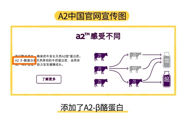A2至初官网宣传图 A2至初官网宣传图
