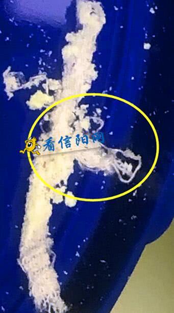 飞鹤星飞帆异物 飞鹤星飞帆异物